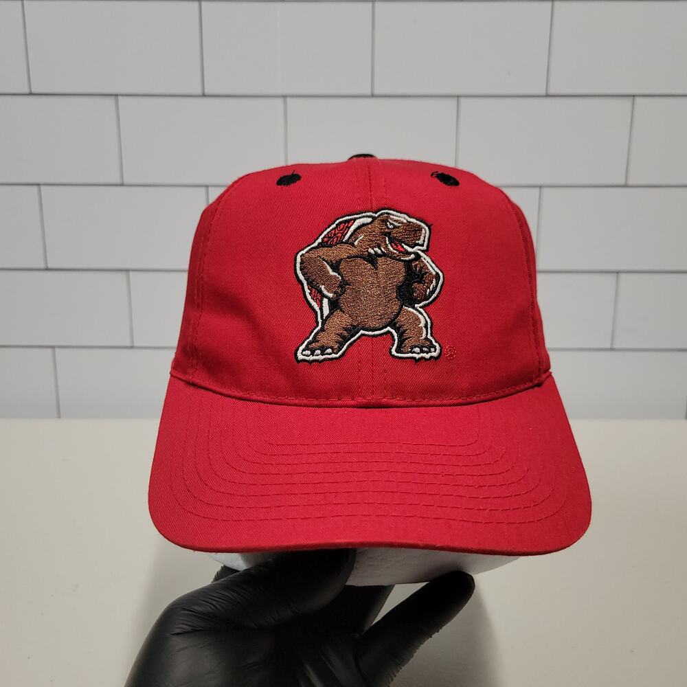 Vintage Maryland Terrapins Testudo Captivating Headgear Snapback Hat NCAA